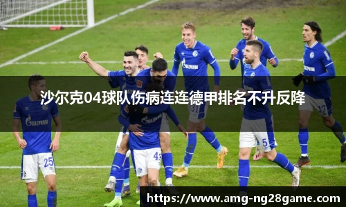 沙尔克04球队伤病连连德甲排名不升反降